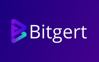 Is BRISE a Good Investment – Bitgert Explained