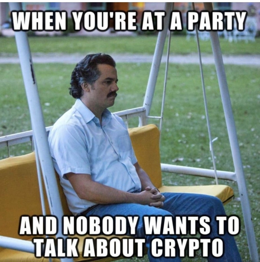 When you're at a party and nobody wants to talk about crypto - top 5 meme coins