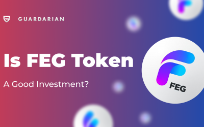 Is FEG Token a Good Investment? FEG Price Prediction
