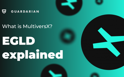 What is MultiversX? EGLD Explained