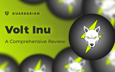 Is Volt Inu a Good Investment? Volt Inu Review