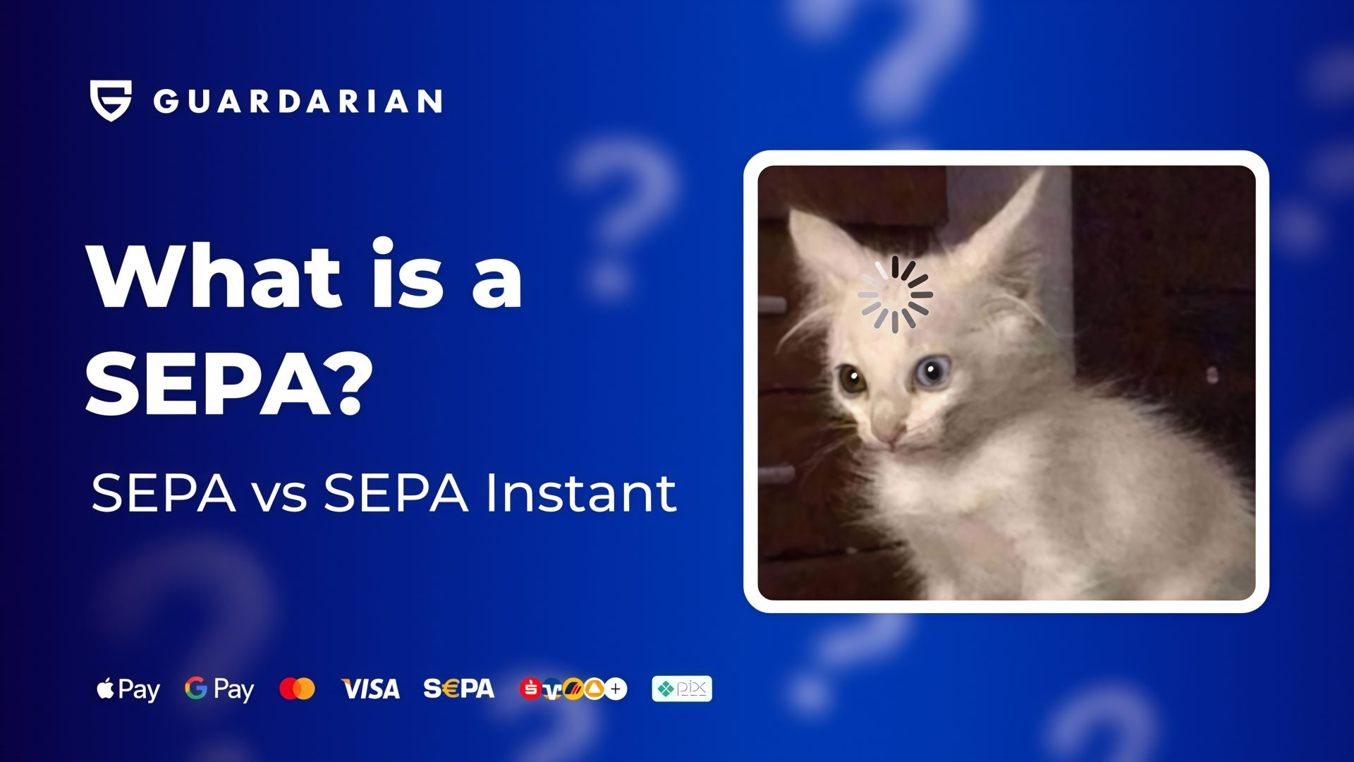 What is SEPA? The difference between SEPA and SEPA Instant