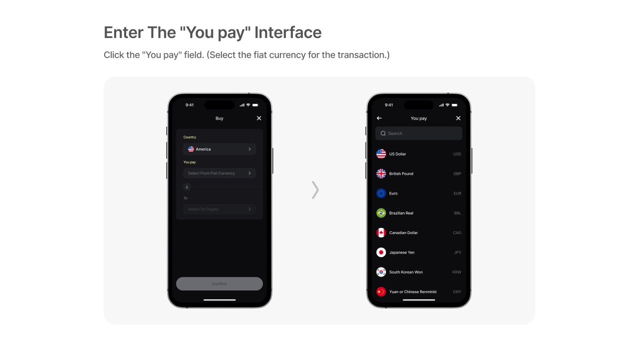 Enter You Pay interface
