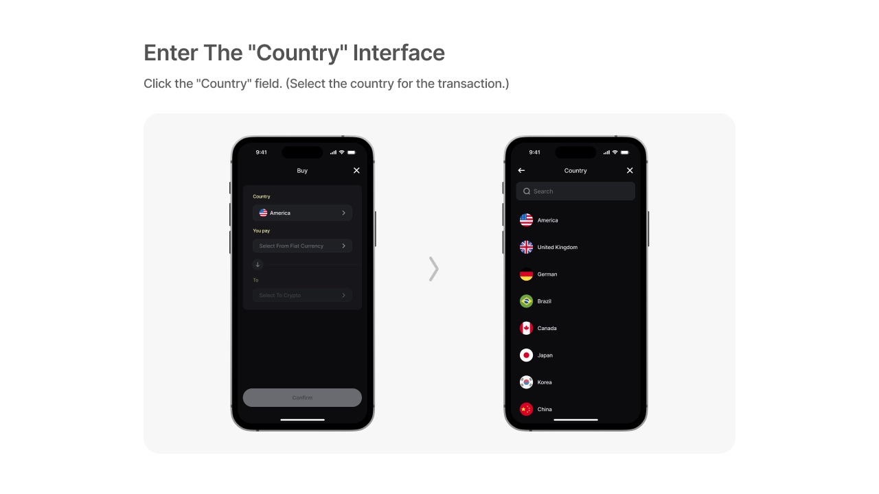 Enter the Country interface
