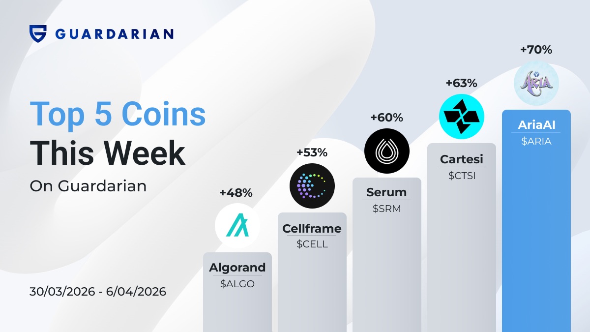 Top gainers 6.04 chart